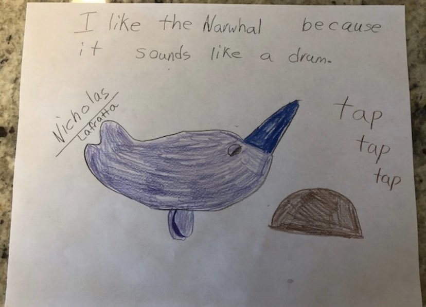 cupomusic's tweet photo. I miss my Bulldogs, but love getting pictures and projects from them 🎶💕@McDBulldogsCSD https://t.co/pnVFprWuD1
