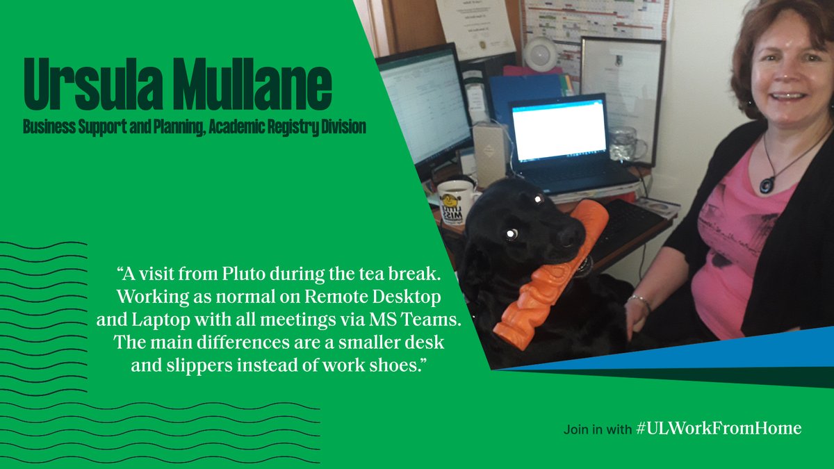 UL's tweet photo. We know that this has not been easy for any of our staff (nor any of our students) but, despite all the challenges, due to everyone's hard work and effort across the university - UL’s Education continues but in a new mode of delivery in a very different world. #ULWorkFromHome https://t.co/ptoeydEJQI