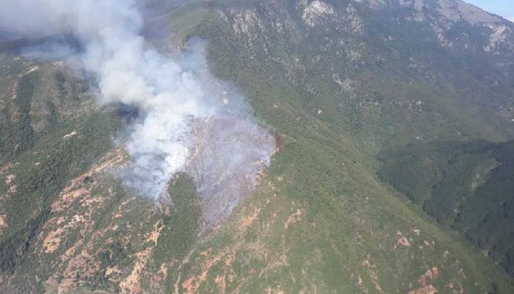 atentoschile's tweet photo. Declaran Alerta Amarilla por incendio forestal en “Loma Pelada” comuna de Curicó https://t.co/Be0lxVzZVL https://t.co/Jsfdn0aNJE