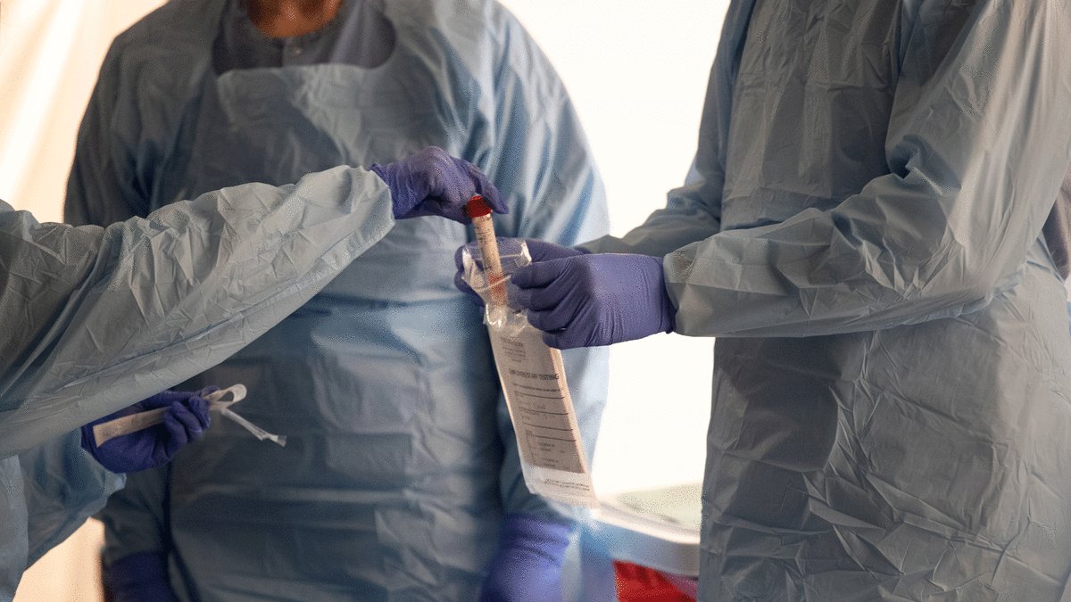 Complex's tweet image. Scientist from Netflix's 'Pandemic' believes he may have found COVID-19 cure: cmplx.co/O8AMcBq 

The military is set to conduct tests to verify its efficacy.