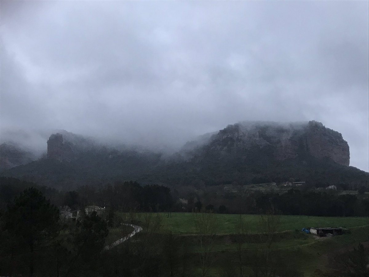 MiquelMacia's tweet photo. Talment fossim el novembre: capvespre de silencis, pluja, i solitud. De boires que s’arrapen als cingles. Rere els cingles, més dolor que mai. Però hi som, resistim i avançarem. ;-) https://t.co/Z7s3iZLIlq