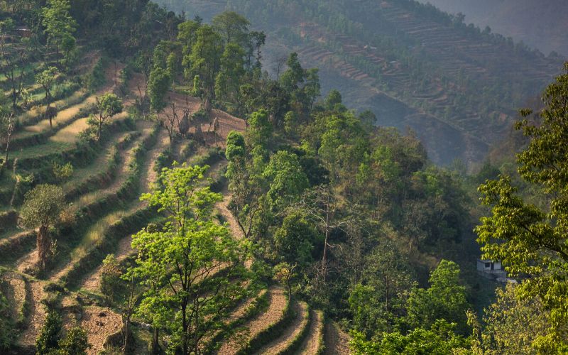 We are sending our compassionate thoughts to the people of Nepal and India as they face the advance of #COVID19. Our programs, that empower and strengthen their resilience, are for them a source of hope.
#Altruism #India #Nepal