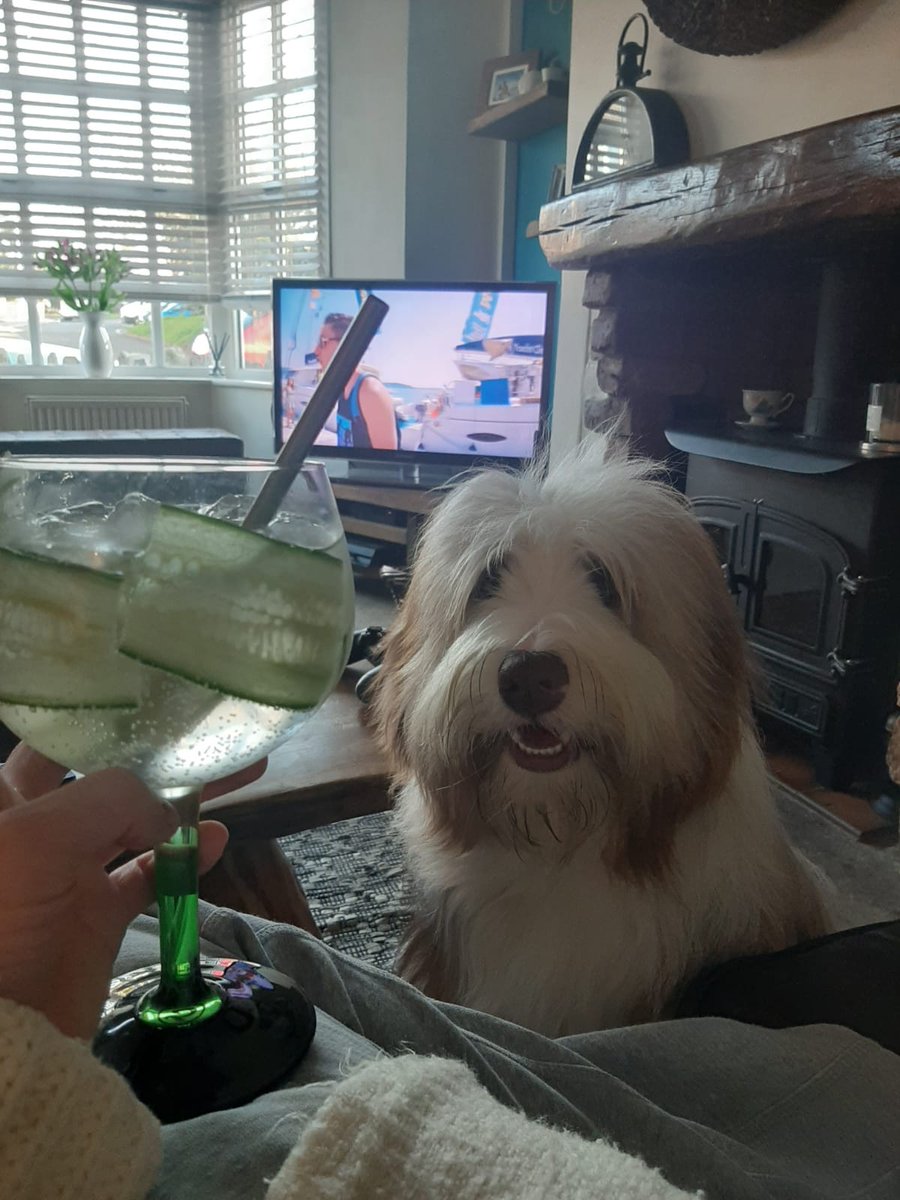 riverdogsuk's tweet photo. If there's one #pooch that knows how to stay active and defeat boredom, it's our very own Logan! Not content with chasing his #tail, he's been out on some pretty stunning walks, getting some of the biggest cuddles from George, and sharing a cocktail or two in front of the tv.! https://t.co/enZURVINsw