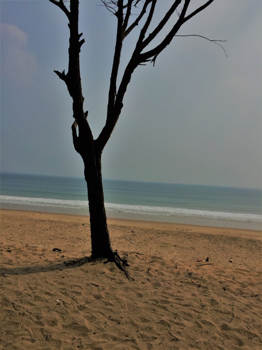 Sumit kar @SK tweet media