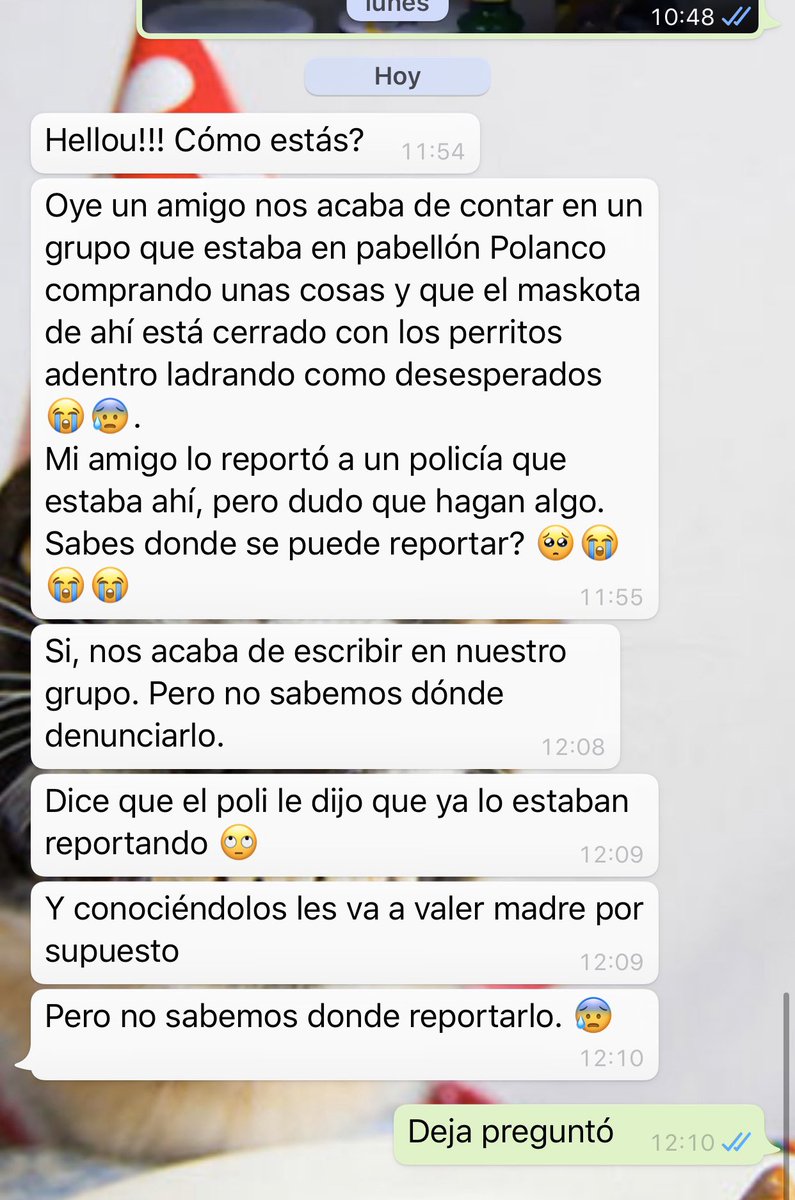 anyharuiz's tweet photo. @ConsueloDuval @yolandandrade @raquelgarzac @Betocastillo73 @DanielHabif @EugenioDerbez @SylviaPasquel https://t.co/qHHv0MQqct