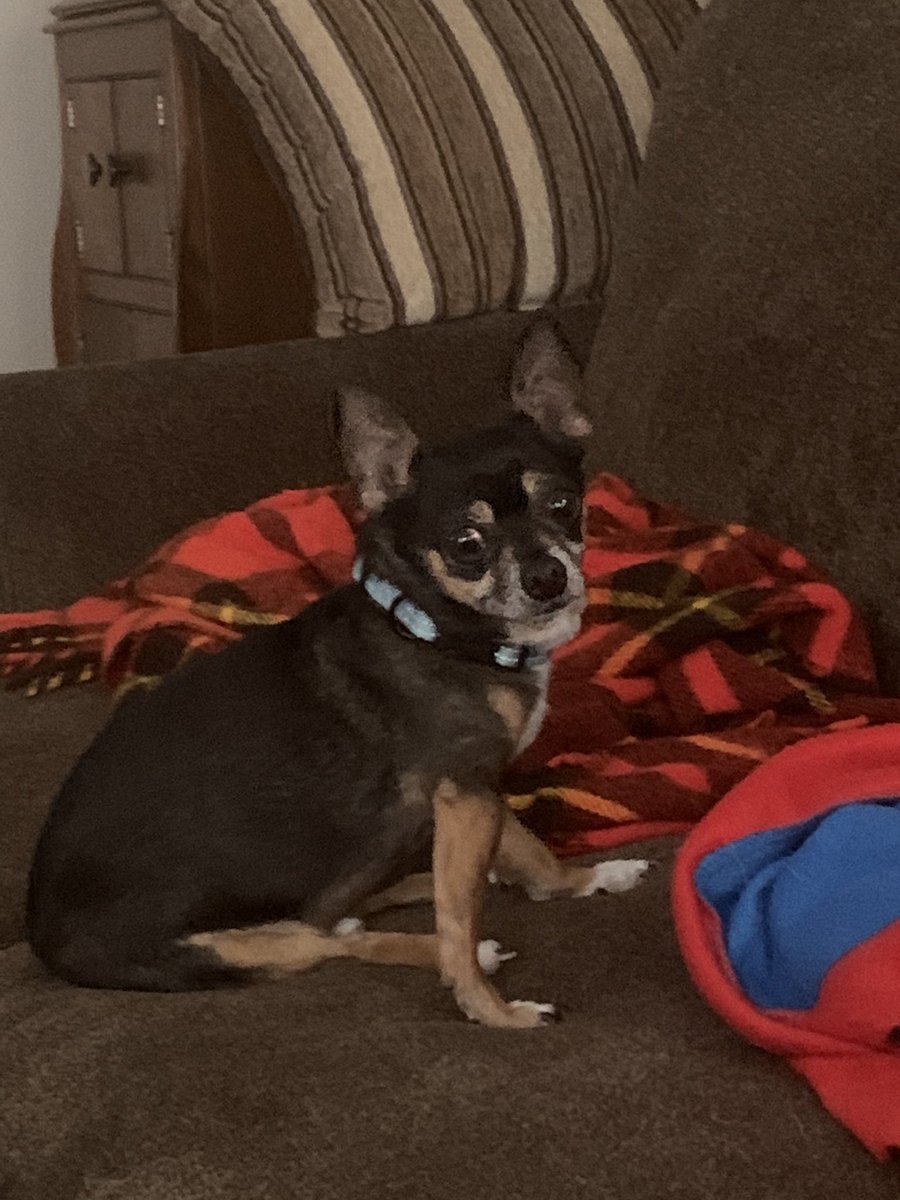 Winston is practicing social distancing from the rest of us