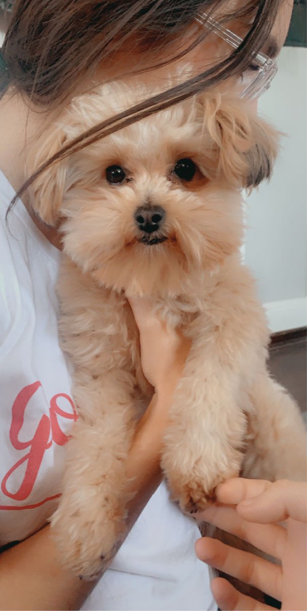 Alpha Phi Wisconsin tweet media