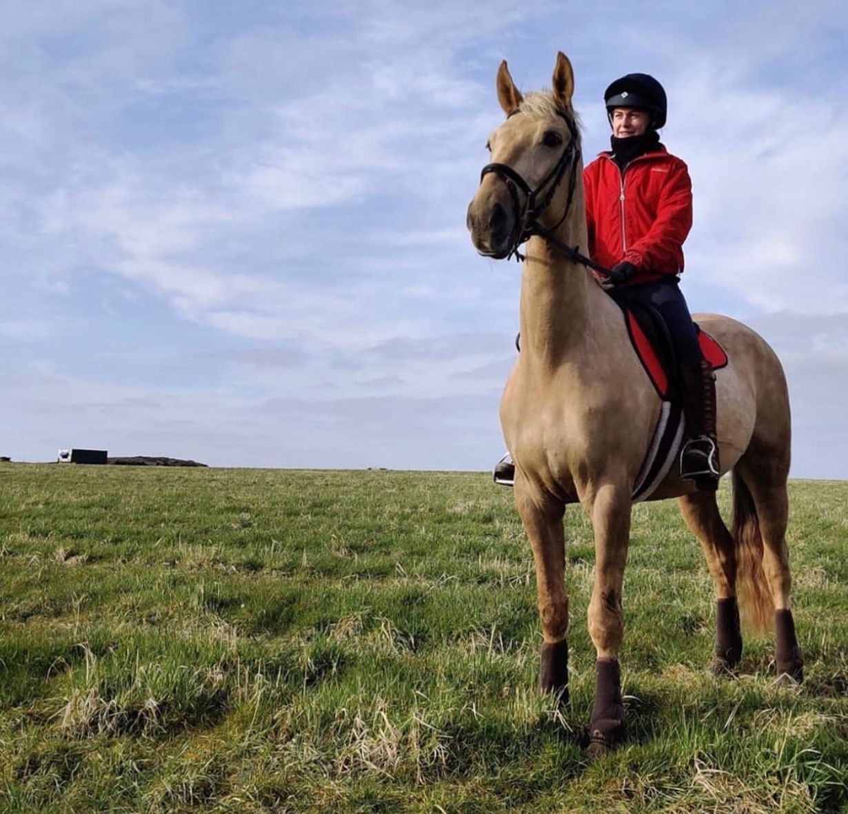 premier equine medicine boots