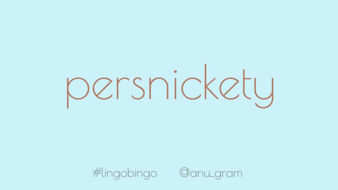 Whoops, missed an entry yesterday because my nap turned into a night's sleep 'Persnickety' was my choice, one of my favourite words. It means both a uppity, snobbish person and someone who is driven by excessive precision and attention to trivial details #lingobingo