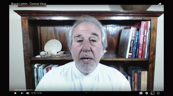 CobaltStages's tweet photo. Dr. Bruce Lipton is here with the #WednesdayWisdom we all need right now. @biologyofbelief https://t.co/RaTmtyUbtt #cobaltstages #safeshoot #karavedder #karacare #karacareskinfood #drbrucelipton #brucelipton #biologyofbelief https://t.co/XUztIxhVxn