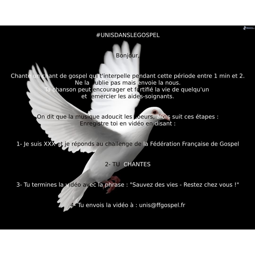 FFGospel_'s tweet photo. FFGospel challenge 
Soyez nombreux à participer et partager au max.

#ffgospel #espacegospel #ffgospelchallenge #unisdanslegospel #sing #gospelsinging #restezchezvous https://t.co/7A8MkTtvwY