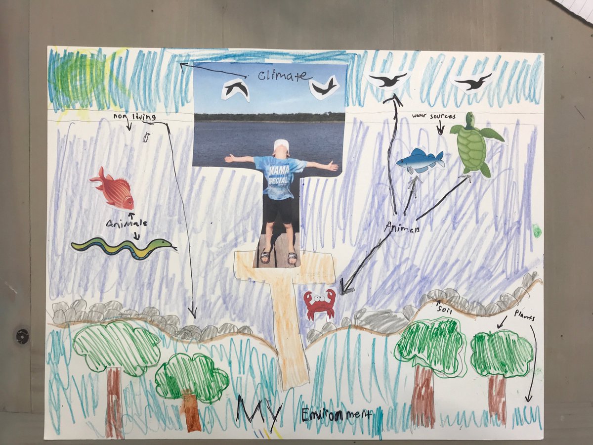 Millersmath17's tweet photo. Love the creativity my students are showing in Science without the boundaries of our classroom walls! @RobRangers #nothingcanstopus #millersmonsters #elearning https://t.co/ujOOae2Ui3