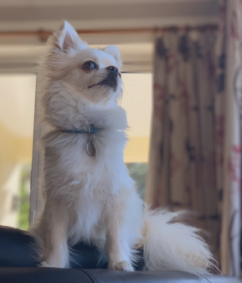 Bentley as DanielHappy boi, always makes us laugh, hair is just as crazy and handsome and he knows it