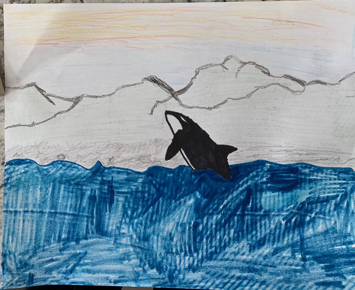 #orcalive At home school with liveit.earth