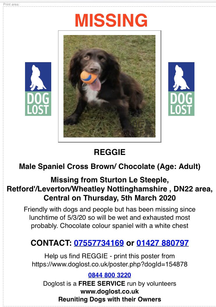 rosieDoc2's tweet photo. #SpanielHour
REGGIE Male #Spaniel x brown/adult with white chest #MISSING from #SurtonLeSteeple #Retford / #Leverton / #Wheatley #Nottinghamshire #DN22 5/3/20
WHERE IS REGGIE-he was suffering due to swallowing too much dirty water from floods @NottinghamNo1 @nottslive @bs2510 https://t.co/P2VouhyeUi
