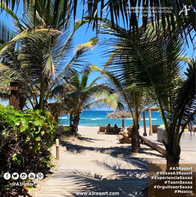 A3Resort's tweet photo. #A3Resort #SaxaaA3Resort ๐ฒ๐ฝ #OrgulloSerSaxaa #GrupoSaxaa #Golfโ #Spa #ExperienciaA3 #A3Moment #SiguemeYTeSigoAlInstante #siguemeytesigo #SiguemeYTeSigoDeVuelta #follobackinstantly #folloback #sigueme #FolloMe #follo4follo #FolloForFolloBack #SiguemeYTeSigoCumplo https://t.co/yoxPpUhRRw
