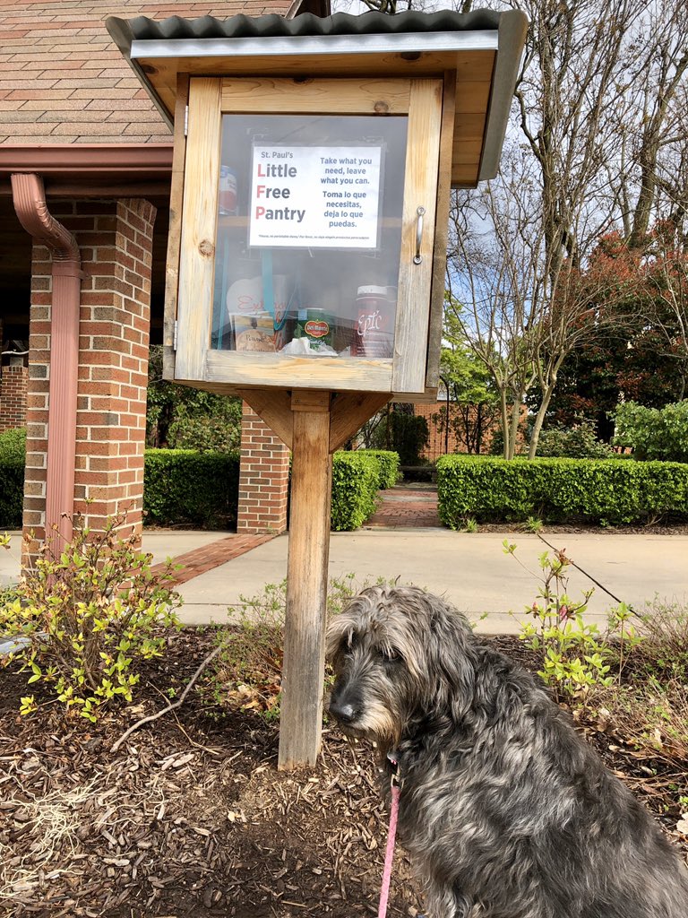epic_compassion's tweet photo. One way to help our homeless brothers and sisters is to stock the Little Free Pantries. I put a Care Capsule, bags, stamped postcards, and pens in three popular pantries. Helpful resources are printed on each bottle and are filled with food. #epiccompassion @ExpFayetteville #nwa https://t.co/jDNg1ihigy