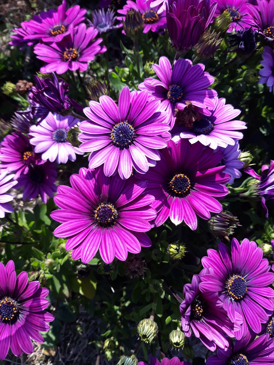 나는 나를 응원한다
오늘의 주인공은 나