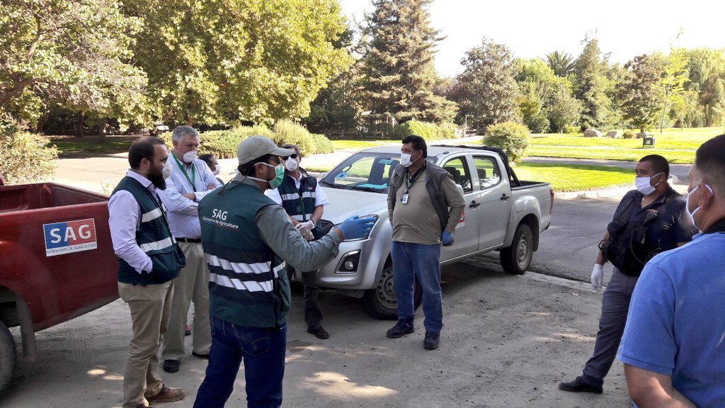 antoniowalkerp's tweet photo. Funcionarios del @sagchile y @MuniColina participaron del operativo para encontrar al #Puma visto anoche en Chicureo.
Se recomienda a los vecinos que ante cualquier caso no intentar atraparlo ni alimentarlo y comunicarse con Carabineros o el SAG. https://t.co/e7BZ4hQ79D