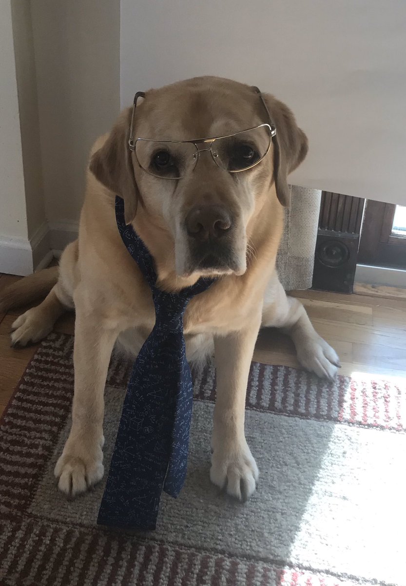 Tricia Rutherford tweet media