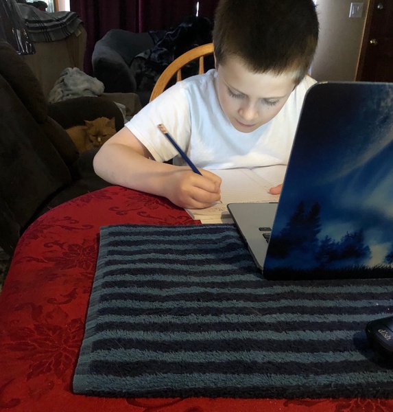 Plainville Schools tweet media