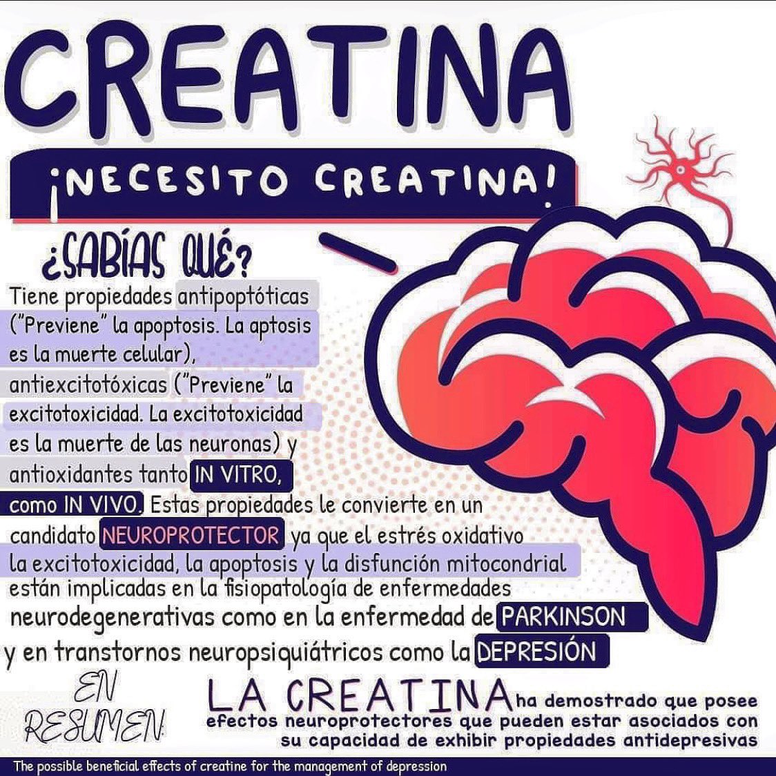 DrEnriqueVR's tweet photo. La creatina puede ser un buen aliado para nuestro 🧠

#DrNeuroTJ #cirugia #cirugiadecolumna #cirugiadehernia #salud #neurosurgery #neurology #neurocirugia #neurocirujano #neurologo #neuroscience #neurologia #neurologie #doctor #doctores #doctors #dr #doctorlife #topdoctor https://t.co/2264D7jjli