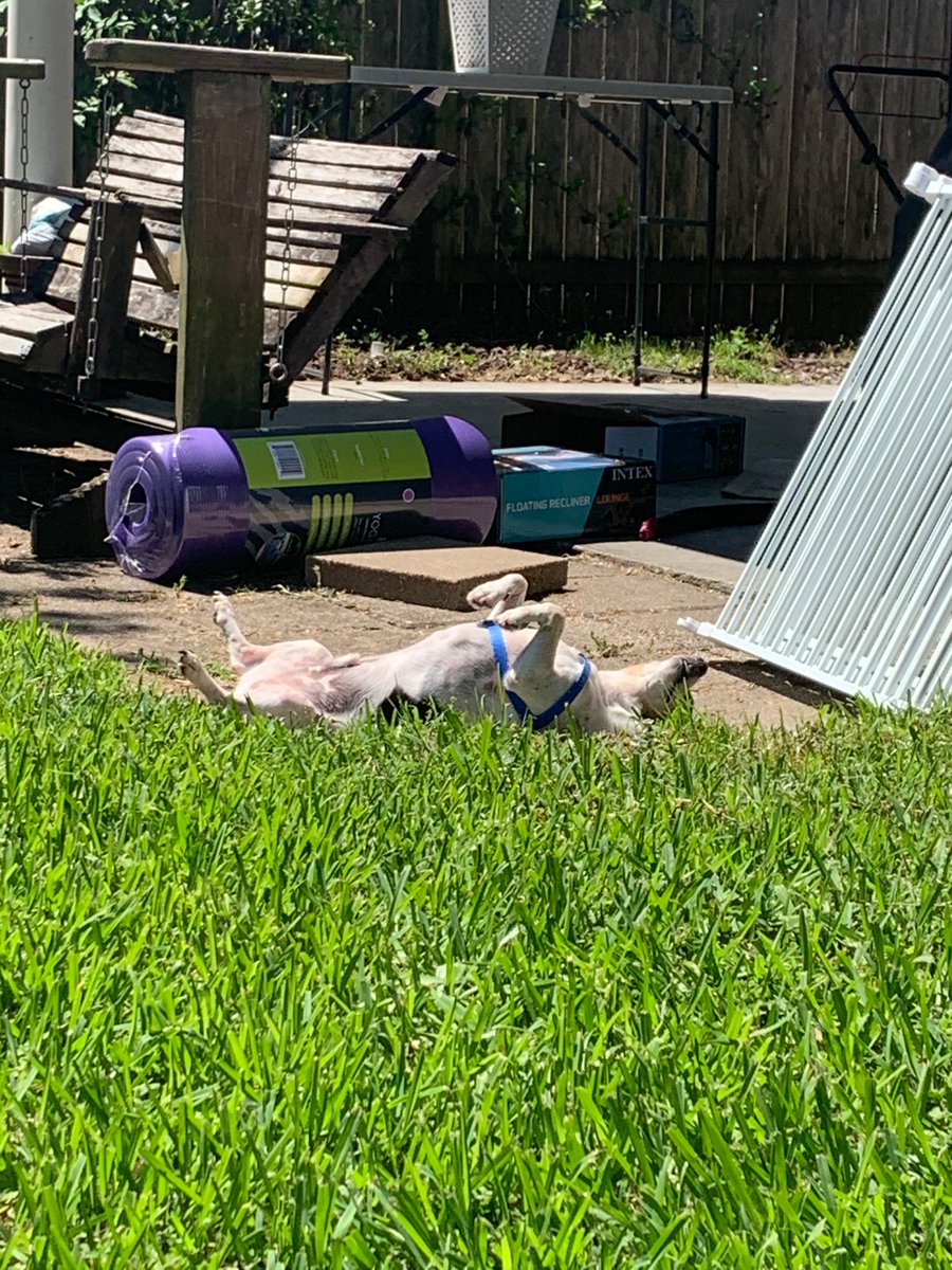 DavisCaitlin97's tweet photo. Sun’s out, tums out I guess https://t.co/ik68pBSUAm