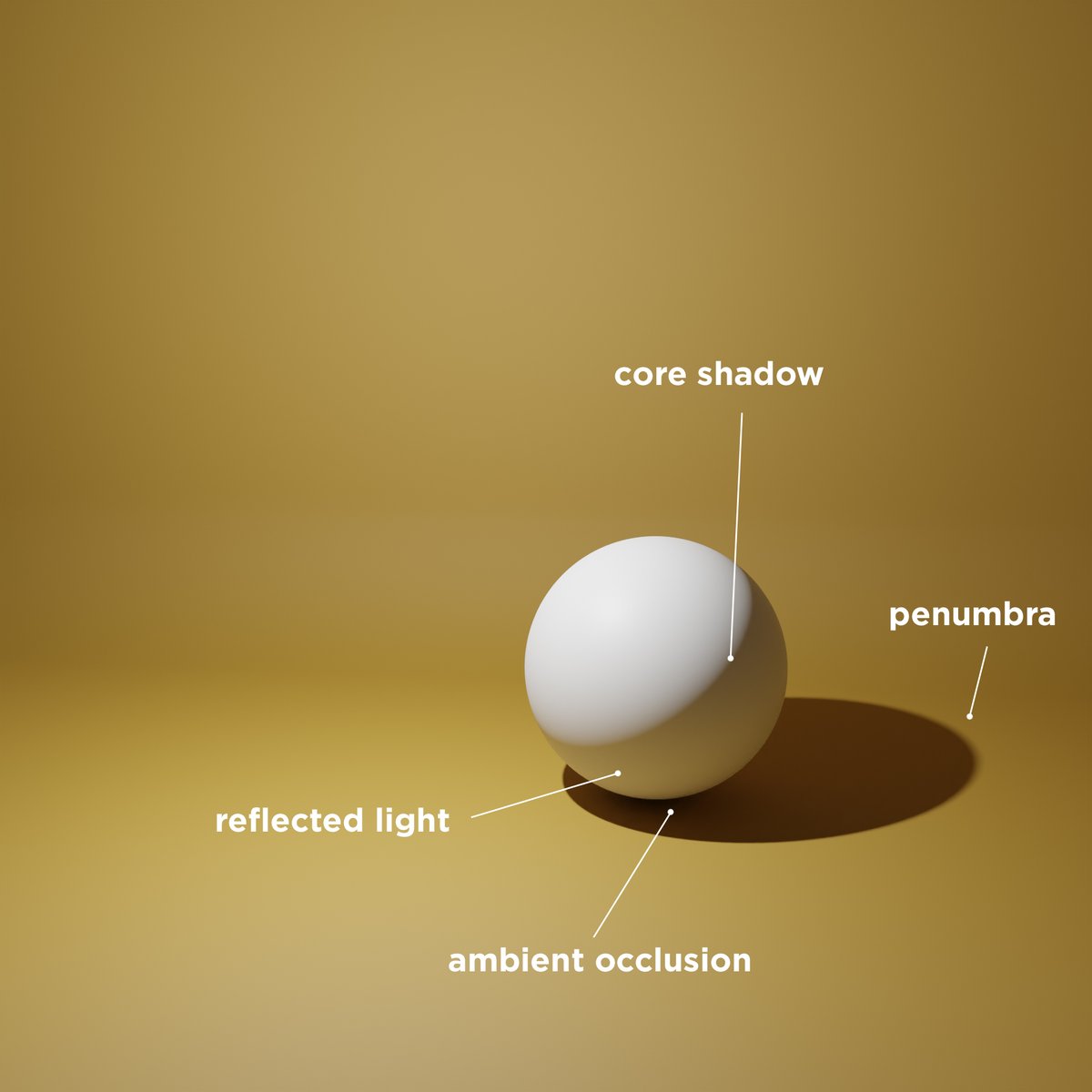 Thread on shadows in painting! Have you ever noticed that darkest part of the shadow right before the reflected light? That’s called the core shadow. Why do they happen, and are they a part of every shadow?