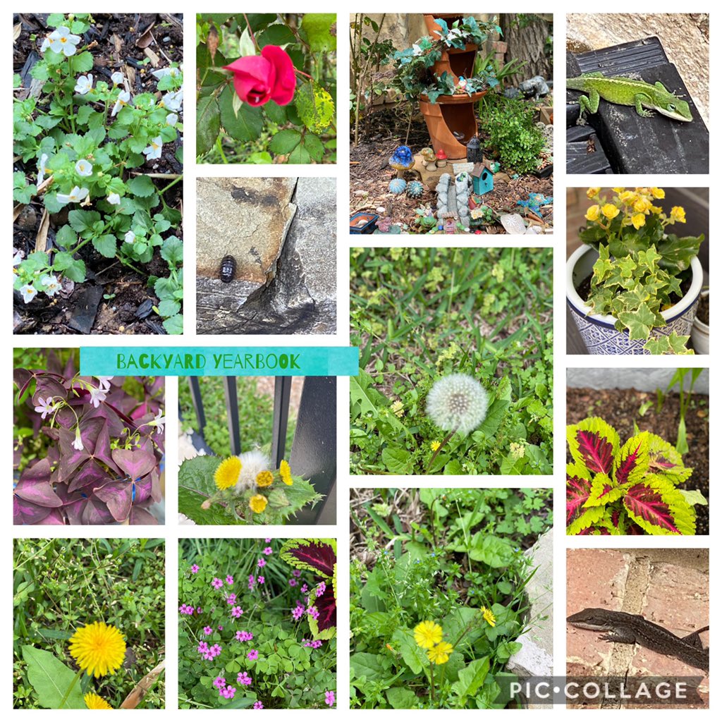 Ashraf Mobh tweet media