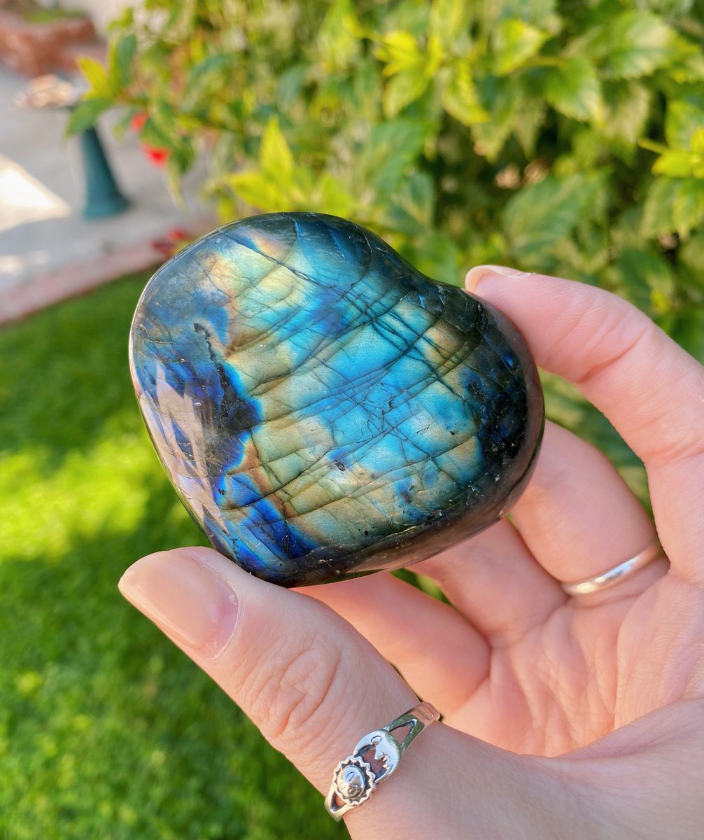 wasssupliz's tweet photo. 🦋 GIVEAWAY 🌟
I adore u all SO much 🥺 thank u for always supporting me! 

💛 1 winner wins both items (details + videos in thread) 

🌼 rules
✨ follow me
✨ retweet this tweet

🌸 extra entries (optional)
✨ tag a friend 
✨ follow my ig @/loveflutterbygems

🌈 ends April 17th https://t.co/2VGiaQmalv