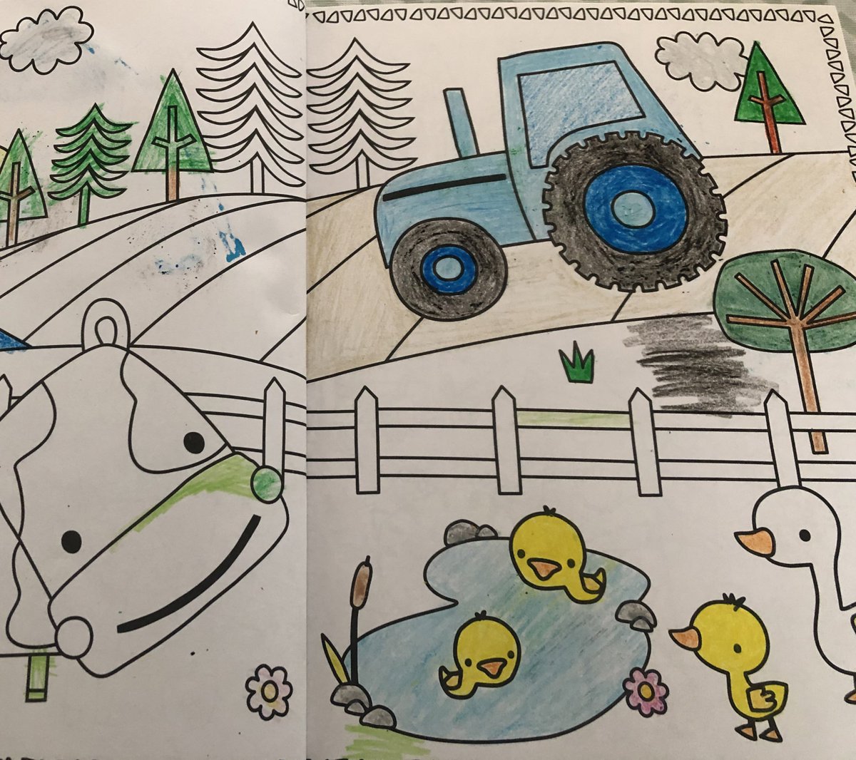 mrshillPHEc's tweet photo. Hill Academy: Day 13: Quality time. Mom has been on too many conference calls so the kids each got to pick one “mommy only” activity #learningwhilebonding #colours #animals #classifyingobjects #notextbookneeded #whattheywillremember #workingmom @OntarioHEA https://t.co/OxeC4Ye92Z