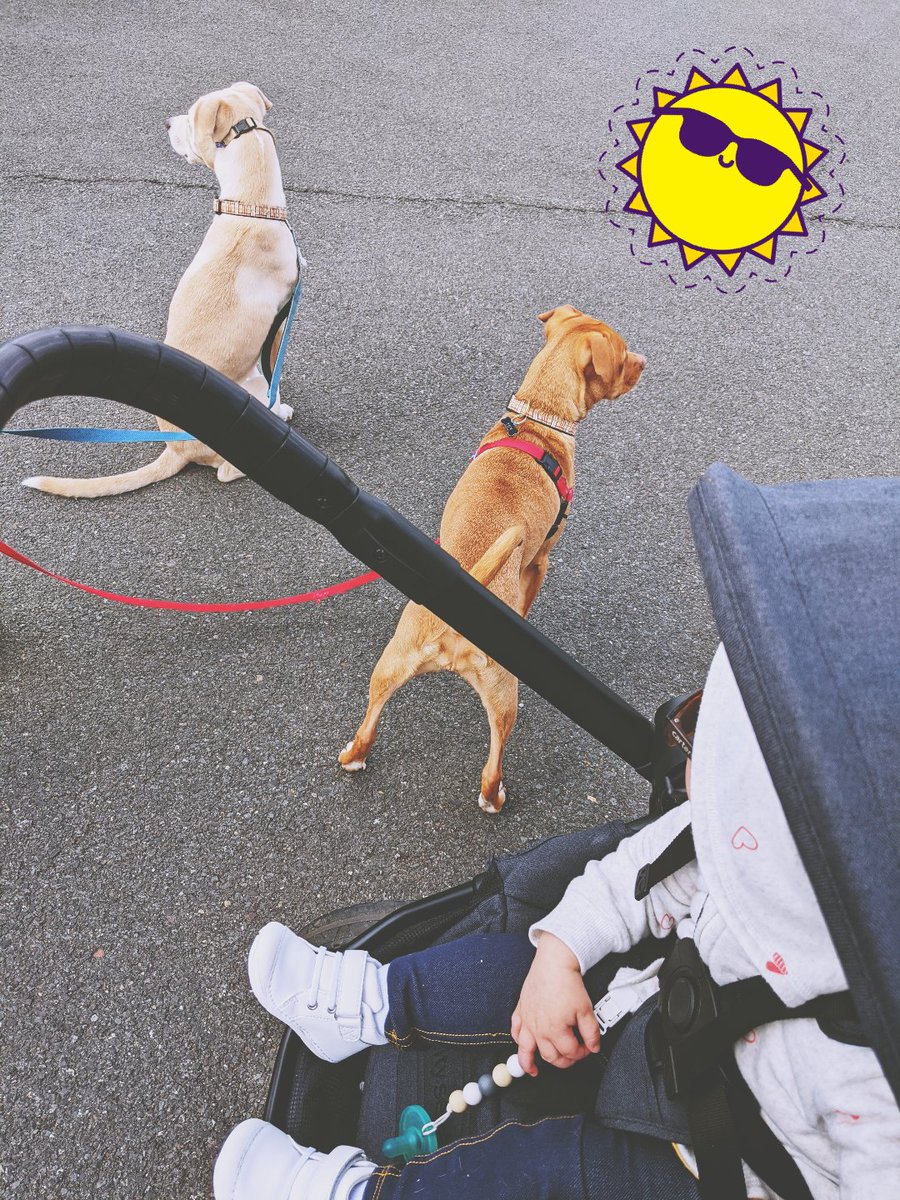 SHSJustThe2ofUs's tweet photo. Hope everyone is finding time to get out and enjoy some fresh air! #PEtime #SHSFlexibleLearning #Allin4TheVille #NationalWalkingDay @GFoleySHS @scotthade @Ville_Sup @shsmrsrath https://t.co/gEyZJhjnUk