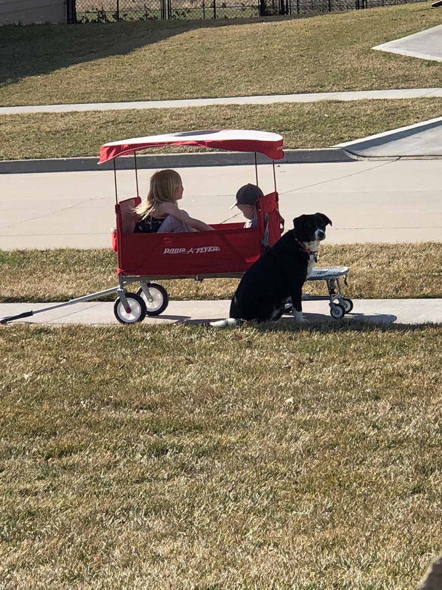 mrsdevriesNP's tweet photo. A2: The Teacher Parades have been the highlight of all of this so far! They brought me so much joy! Being able to get outside has also helped fill the soul! #NPMentorChat https://t.co/xMxpFYv9oN