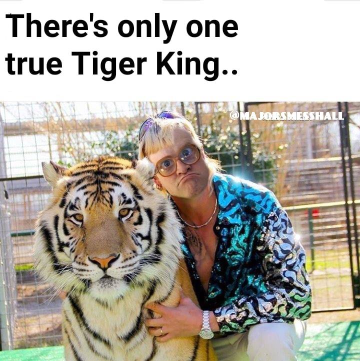 tpbplus's tweet photo. 🐅👑

Thanks to @majorsmesshall podcast for making this fucked as fuck meme! https://t.co/XdHl8gzsPi