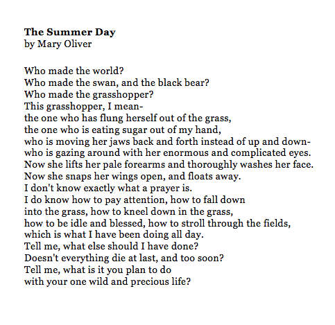 The Summer Day by Mary Oliver.