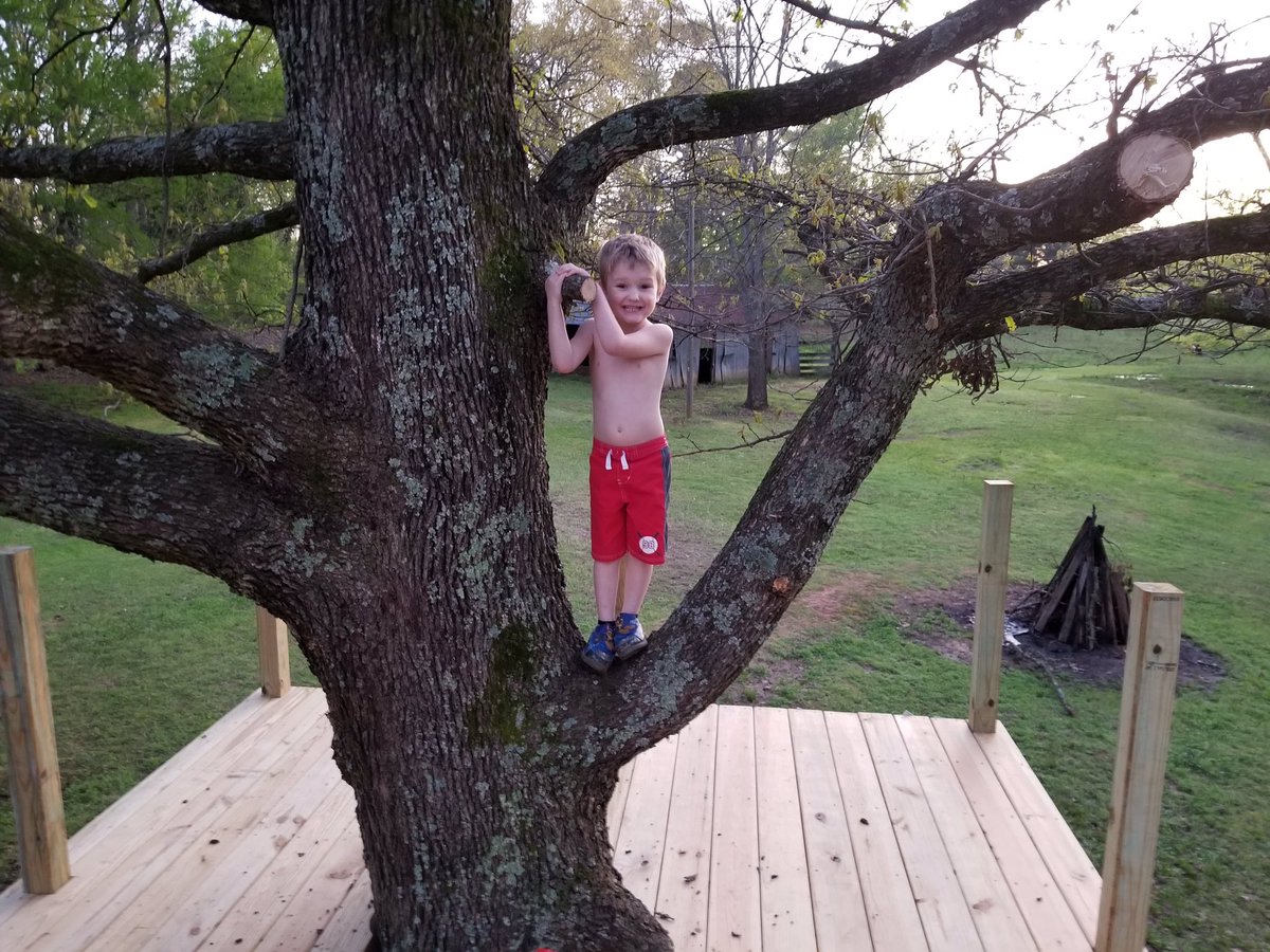 peeples_dawn's tweet photo. Jude and Eli from CE, helped their dad to design and build a new tree house. Both boys helped plan, design, measure, space and even hammer on this project. Building is SCIENCE+TECHNOLOGY+ENGINEERING+MATH=STEM!!! 🔨🔧#cabotSTEM #growingcabot #familytime https://t.co/N5Dr85PToi