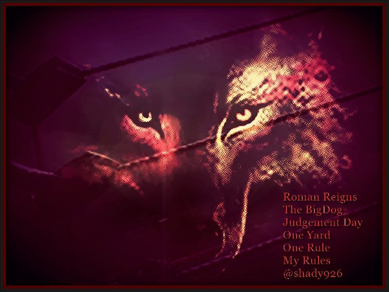 Shady926's tweet photo. @WWERomanReigns Your home right where ya need to be...perfect insight...right time...right place...right reason ...take care of you an your family...My Guy here #TheBigDog is keeping an eye on an #GuardingTheYard if life treats us right...we will be back on track in no time! HAGD https://t.co/4T6WZwLL07