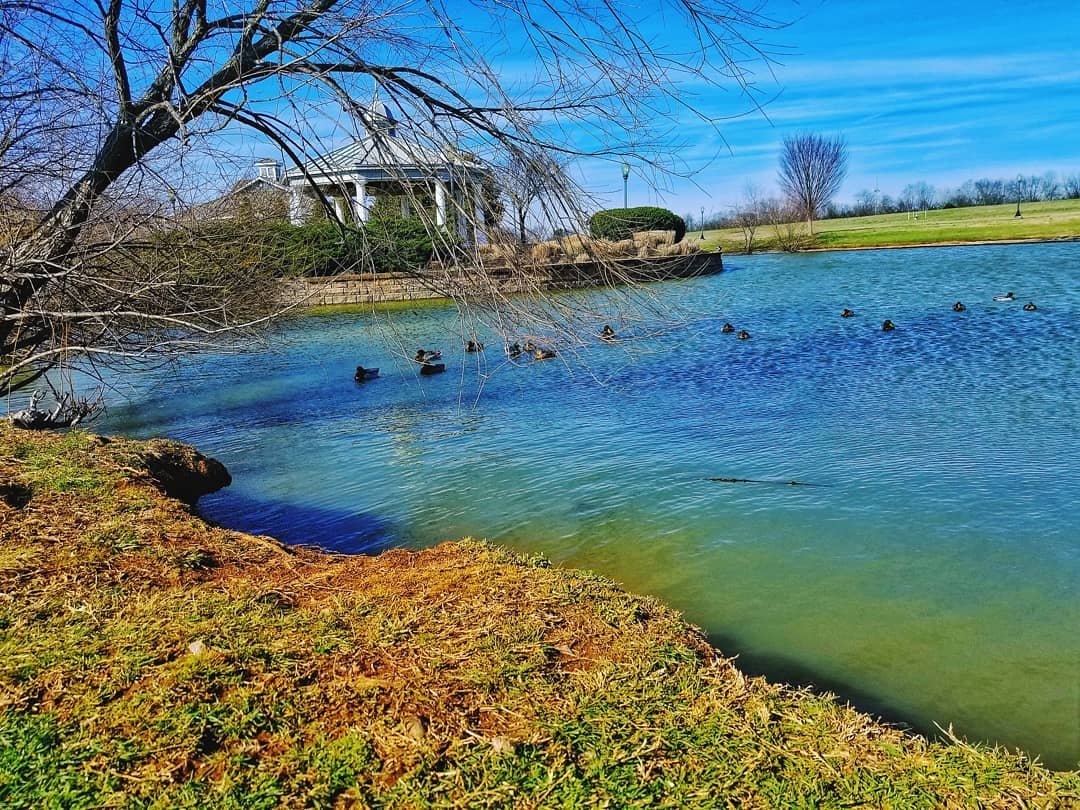 Visit Rutherford TN tweet media