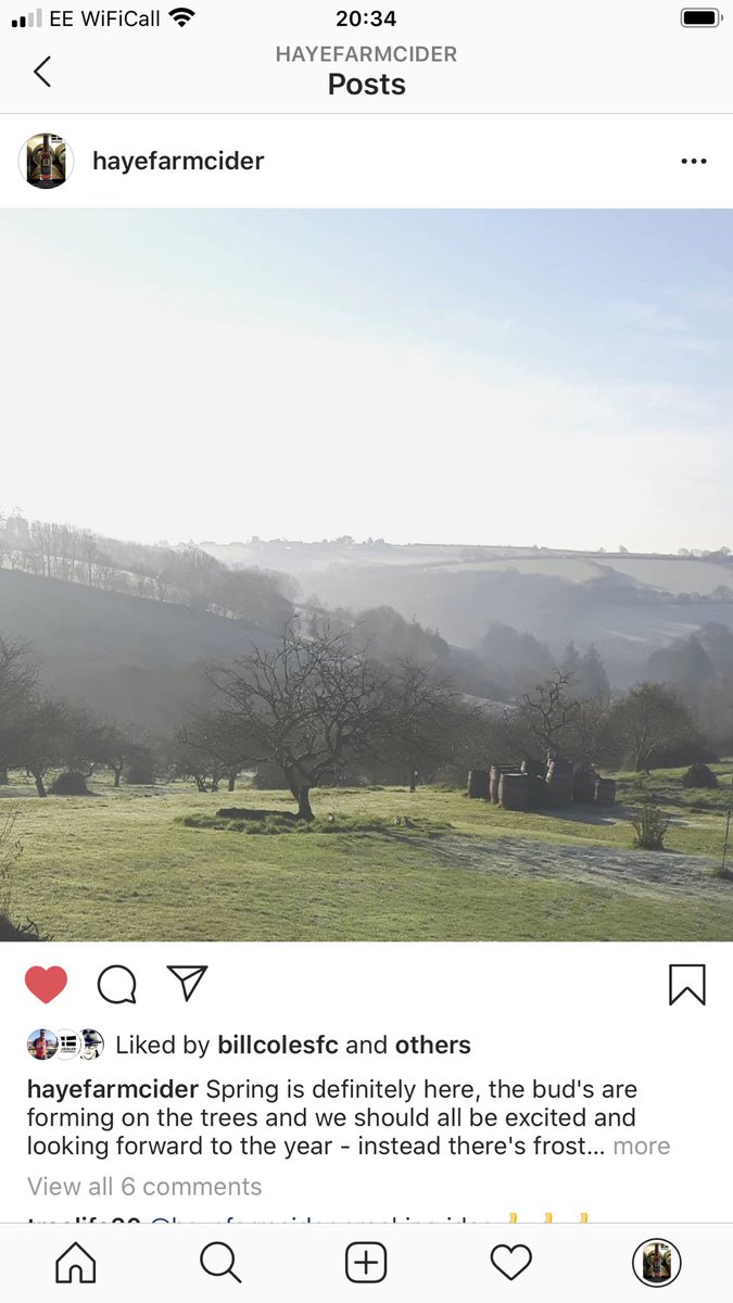 Please see our Instagram for more ...