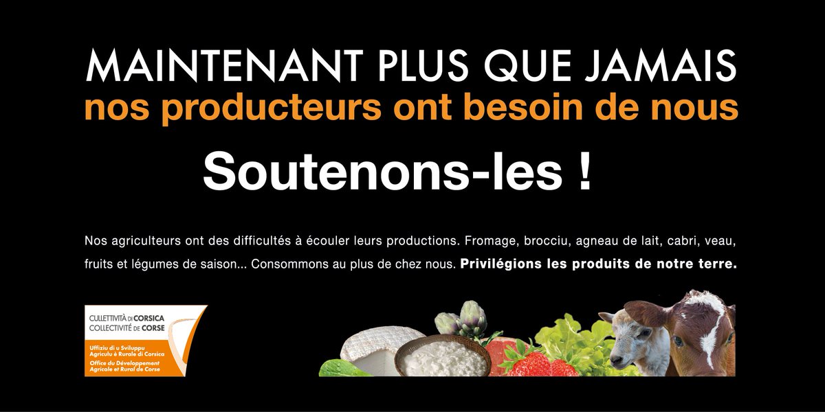 MP Bianchini (@mpb_corsica) on Twitter photo 