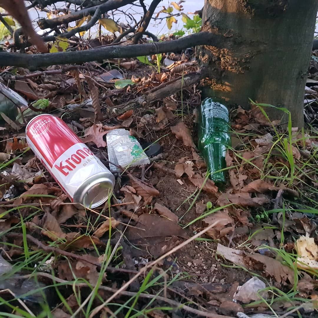 "Into the Woods"
2019-10-25

#streetbooze #street #booze #wildlife #nofilter