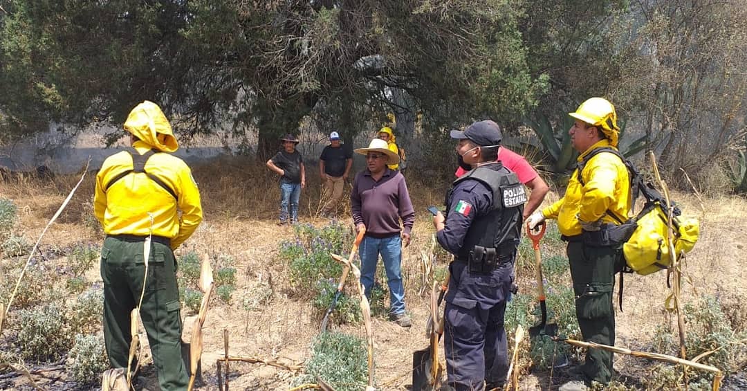 PoliciaSsc's tweet photo. La Policía de Montaña de la #SSCTLX al hacerrecorridos de Seguridad y Vigilancia, ubican un incendio forestal en #CONTLA, por lo cual en coordinación con #CONAFOR, Protección Civil y Policía Municipal de San José Teacalco, evitan su propagación y lo sofocan
#PorUnTlaxcalaSeguro https://t.co/TbeBh1OARm