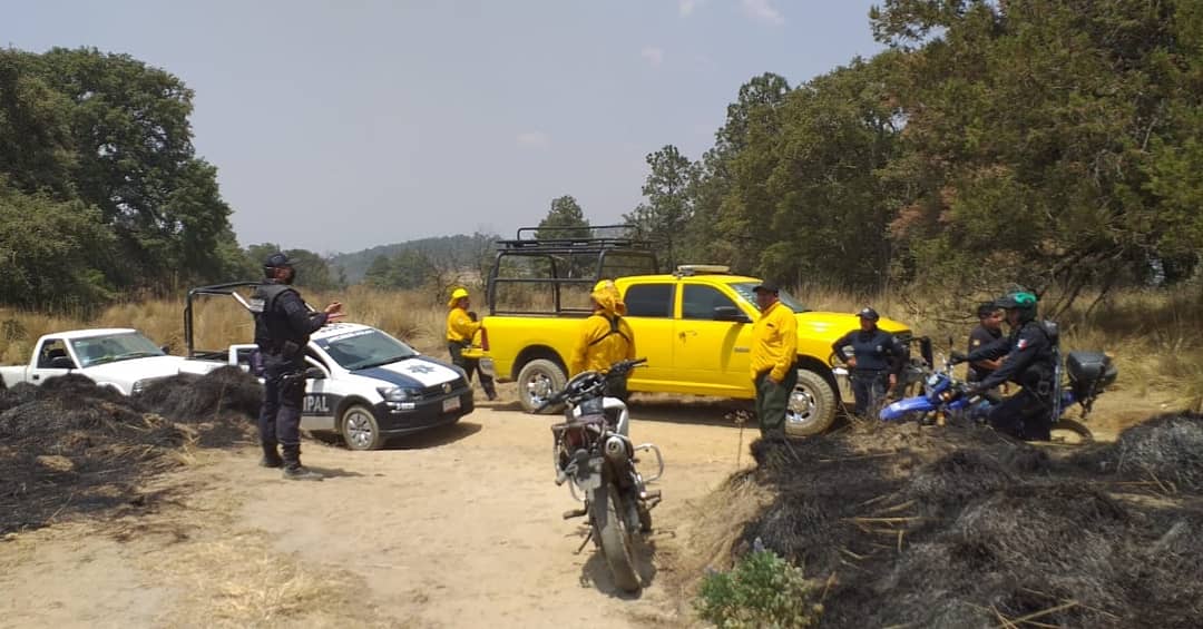 PoliciaSsc's tweet photo. La Policía de Montaña de la #SSCTLX al hacerrecorridos de Seguridad y Vigilancia, ubican un incendio forestal en #CONTLA, por lo cual en coordinación con #CONAFOR, Protección Civil y Policía Municipal de San José Teacalco, evitan su propagación y lo sofocan
#PorUnTlaxcalaSeguro https://t.co/TbeBh1OARm