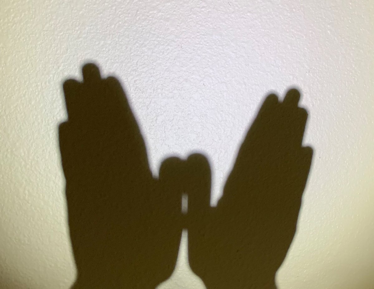TorresFam3's tweet photo. @caldwelltisd @SLynchFineArts Shadow puppet fun. Check out this beautiful butterfly and creepy crawly tarantula. #CaldwellCreates https://t.co/laabhKBnep