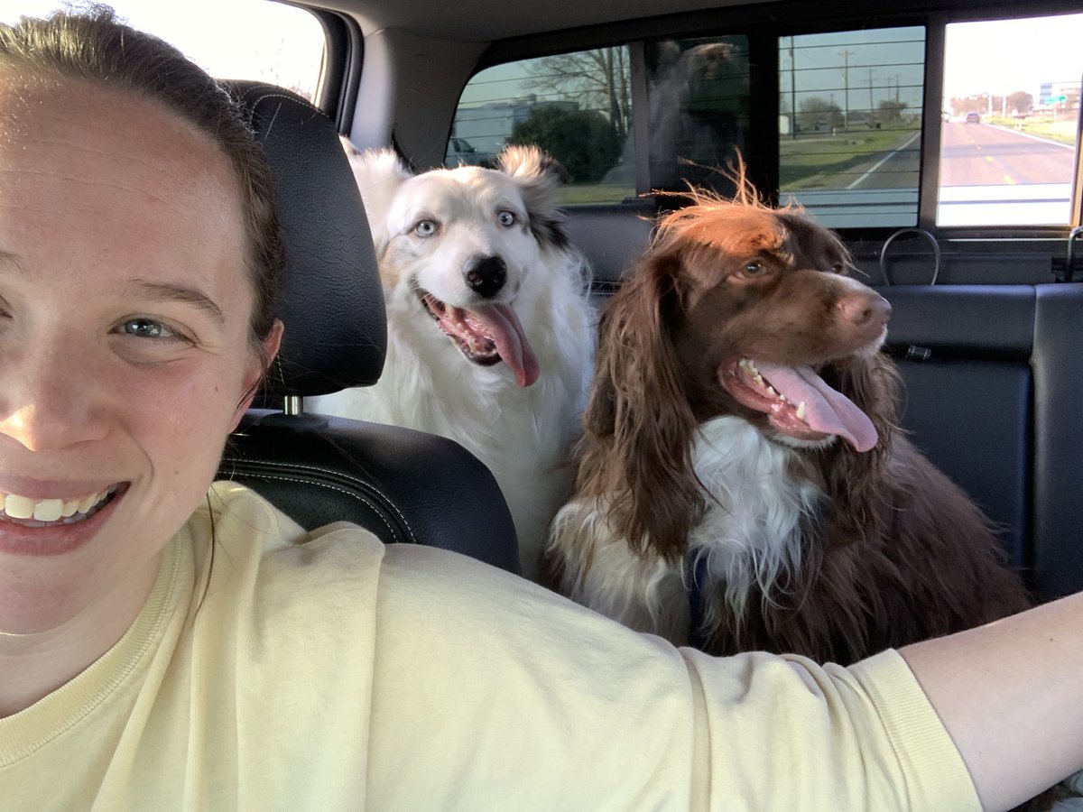 CambriaAlyce's tweet image. And just like that, most of my tax income check is going to the pups. #vetbill #grooming