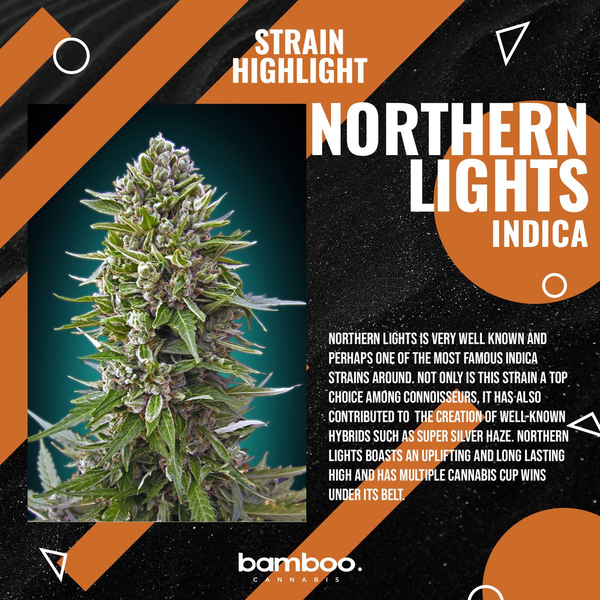 bamboocannabis's tweet photo. Your weekly #StrainHighlight is all about #NorthernLights. Have you tried this legendary #indica? Comment your favourite strain below!
Follow #BambooCannabis on Instagram & Facebook for more!
#stonercommunity #stoned #cannabiscommunity #ontario #dispensary #legalweed #cbd #kush https://t.co/NqR67lwu9x
