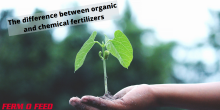 fermofeed's tweet photo. 💚 Why we love organic?

▶ Get to know the difference between organic and chemical fertilizers

📈 Discover how organic fertilizers benefit the soil and your crop

Read more: https://t.co/hchL7b0Omj https://t.co/OfZPESKxsz