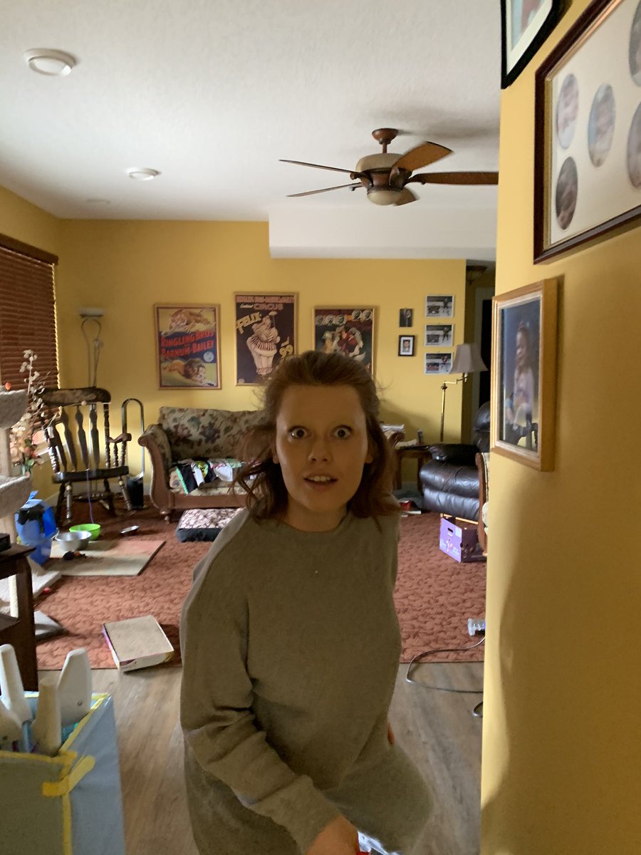 maddiejjames's tweet photo. What a wild ride it’s been #engl418 I laughed, I cried, and I shaved off my eyebrows. Oh the things online schooling drives you to do. https://t.co/AhO69NGt32