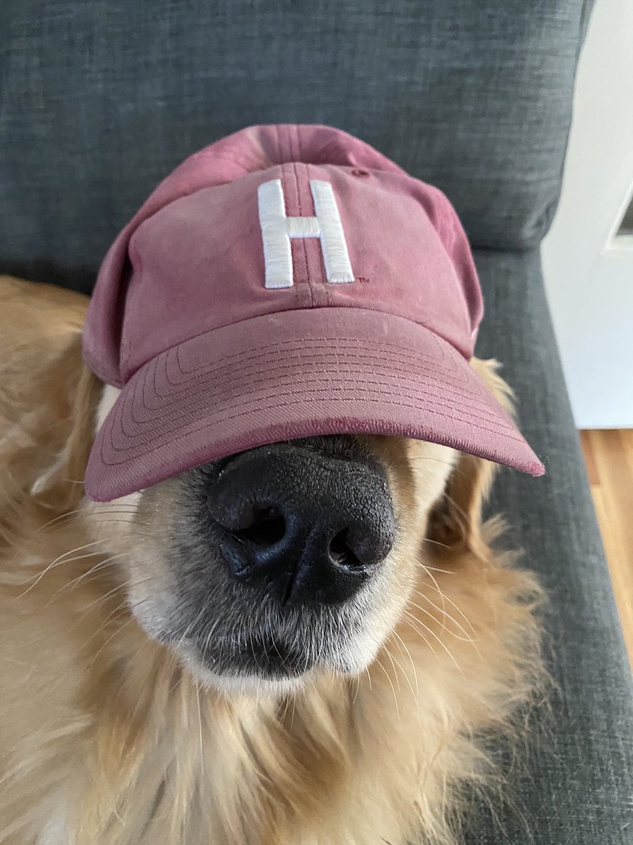 #hatday #VirtualSpiritWeek #wmsspirit