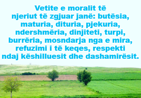 GashiIbn's tweet photo. Njeriu i thjeshtë dhe i vlerave është ai që posedon tipare të larta. 🕸️ https://t.co/4SL6JBgJ6L